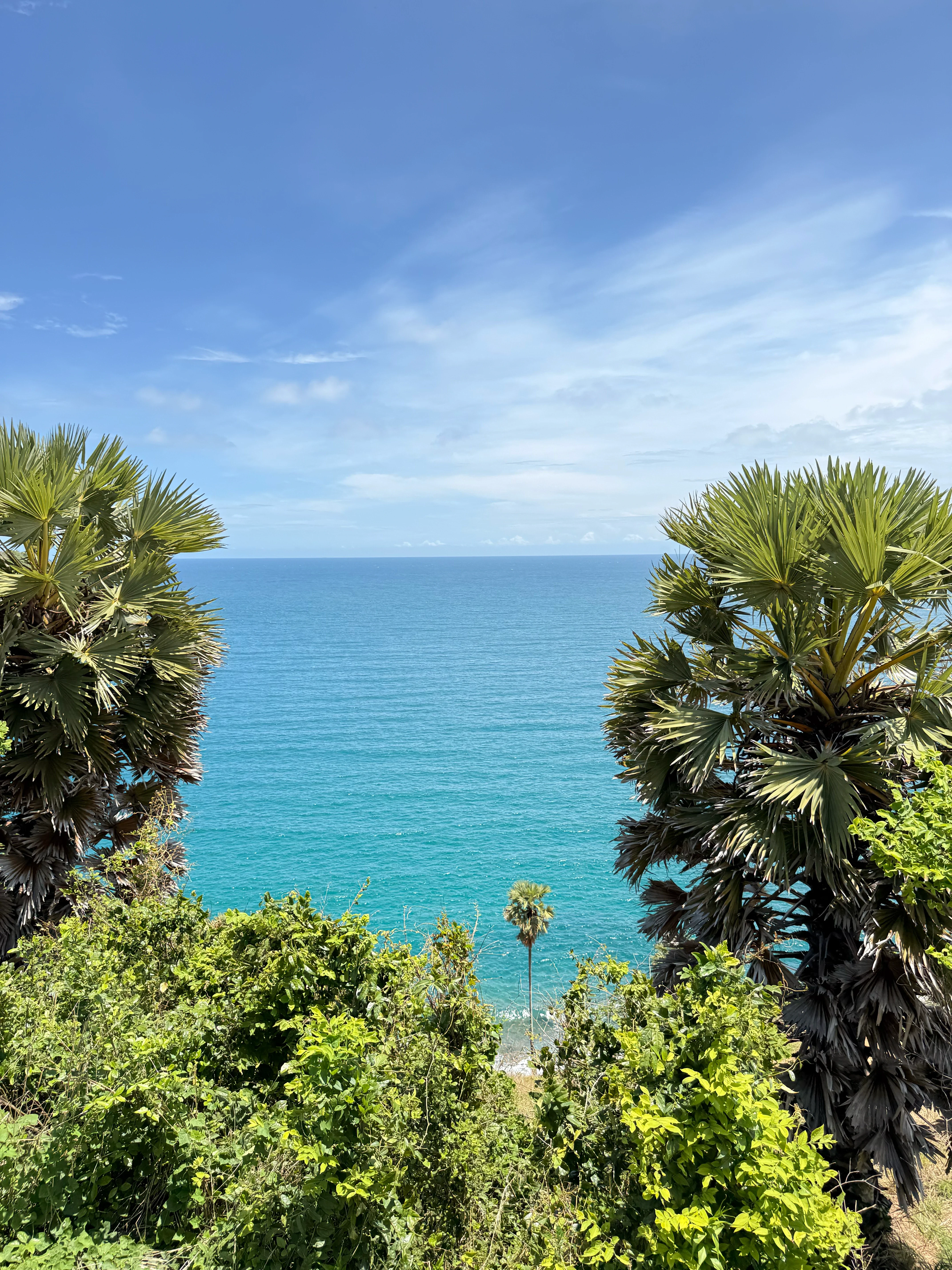 Two fan palms framing an open stretch of turquoise sea, with a single palm below on the shore